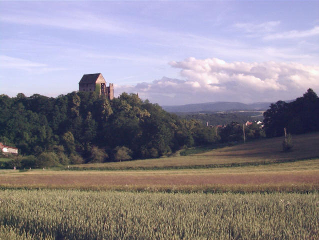 Zamek Świny